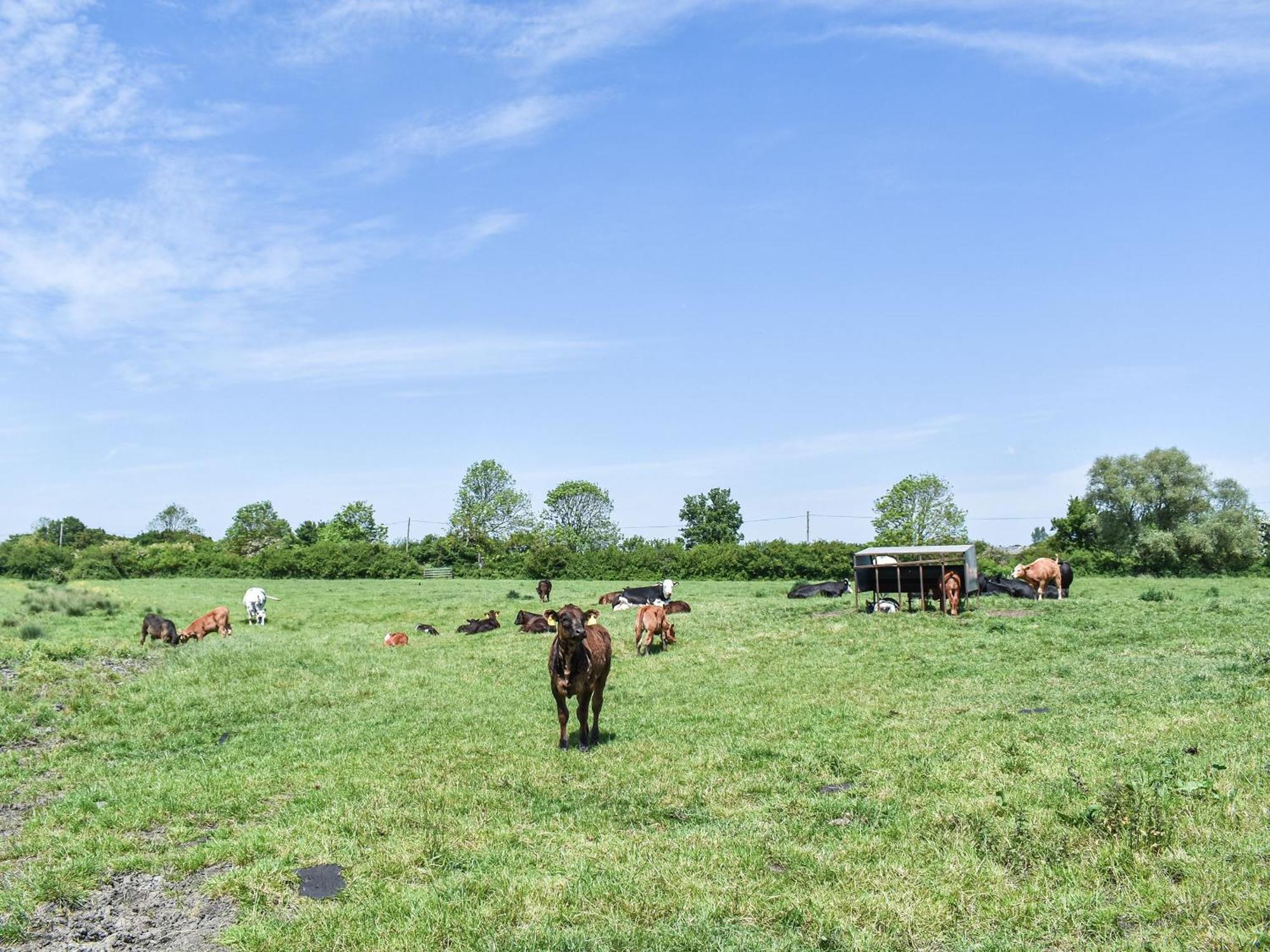 Green Acre Farm Ely Exterior photo